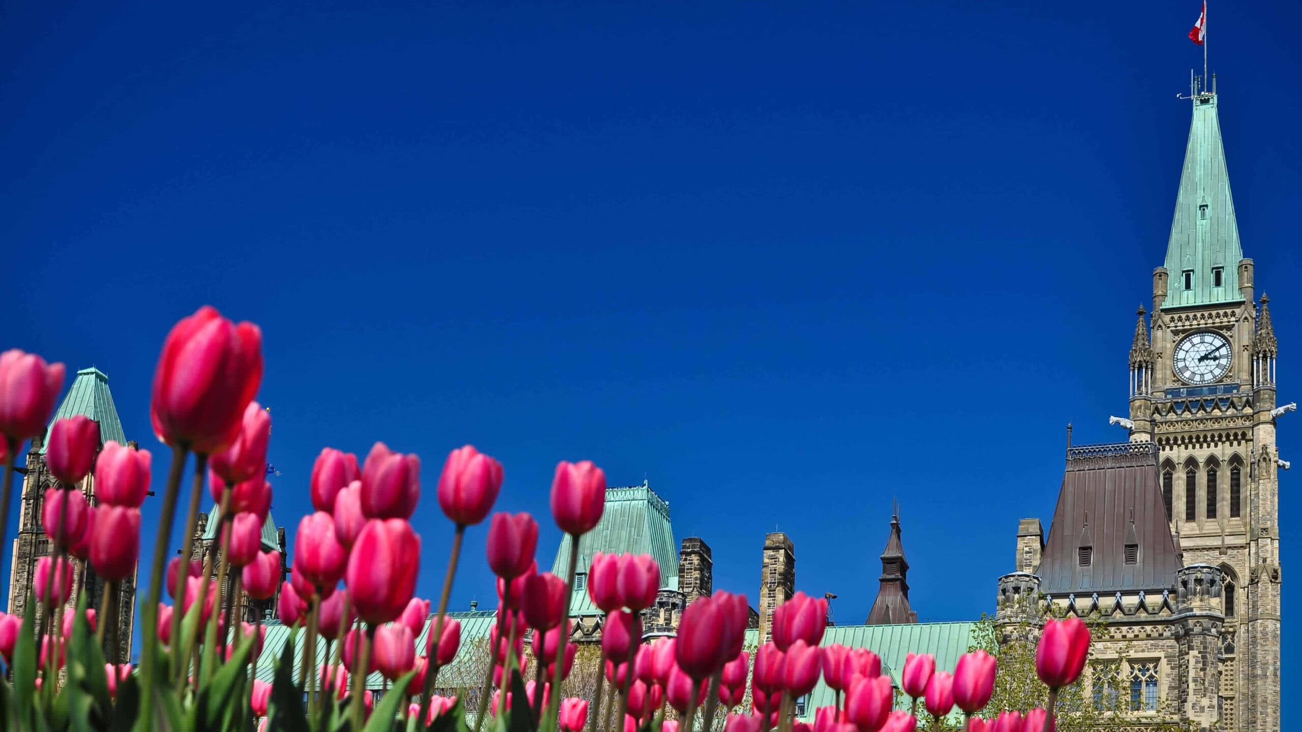 ByWard Market: April 2026 events and updates