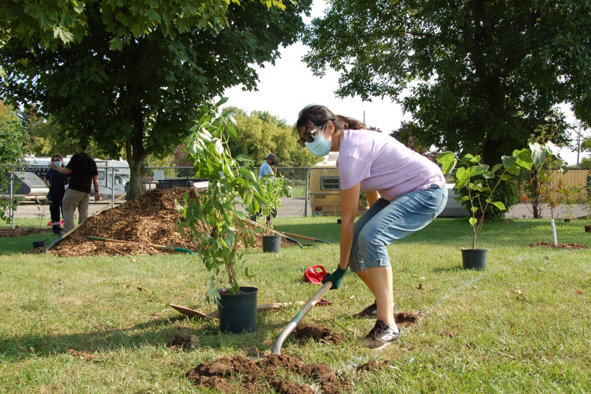 Guelph Tree Planting and Environmental Fair