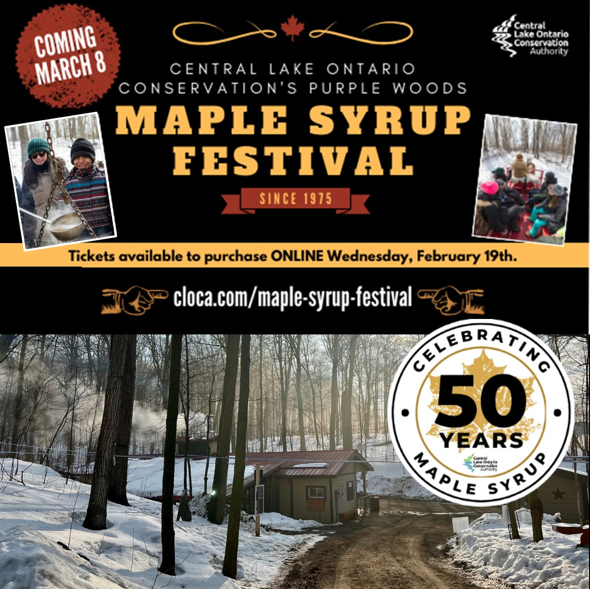 Maple Syrup Festival
