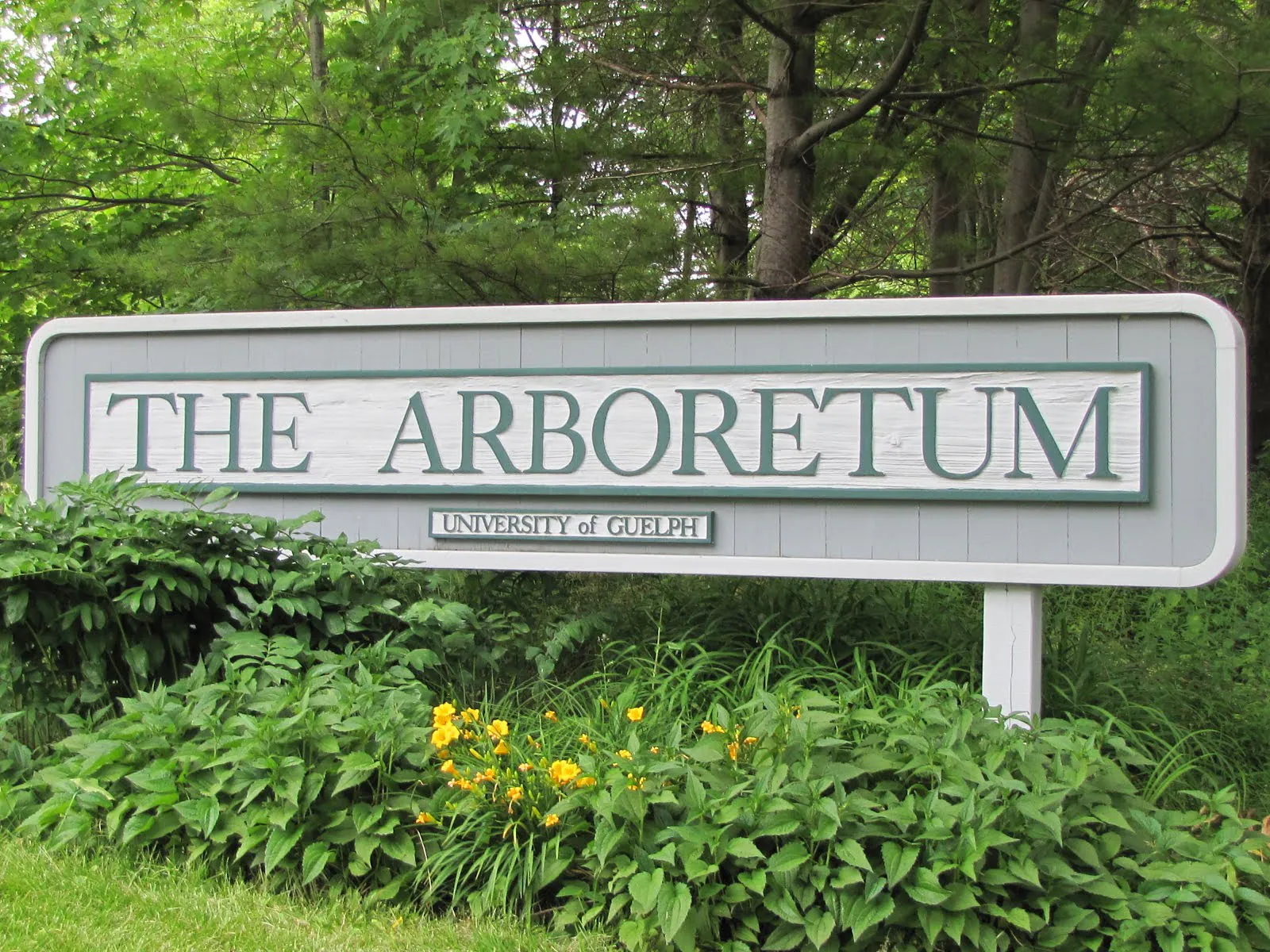 The Arboretum Expo