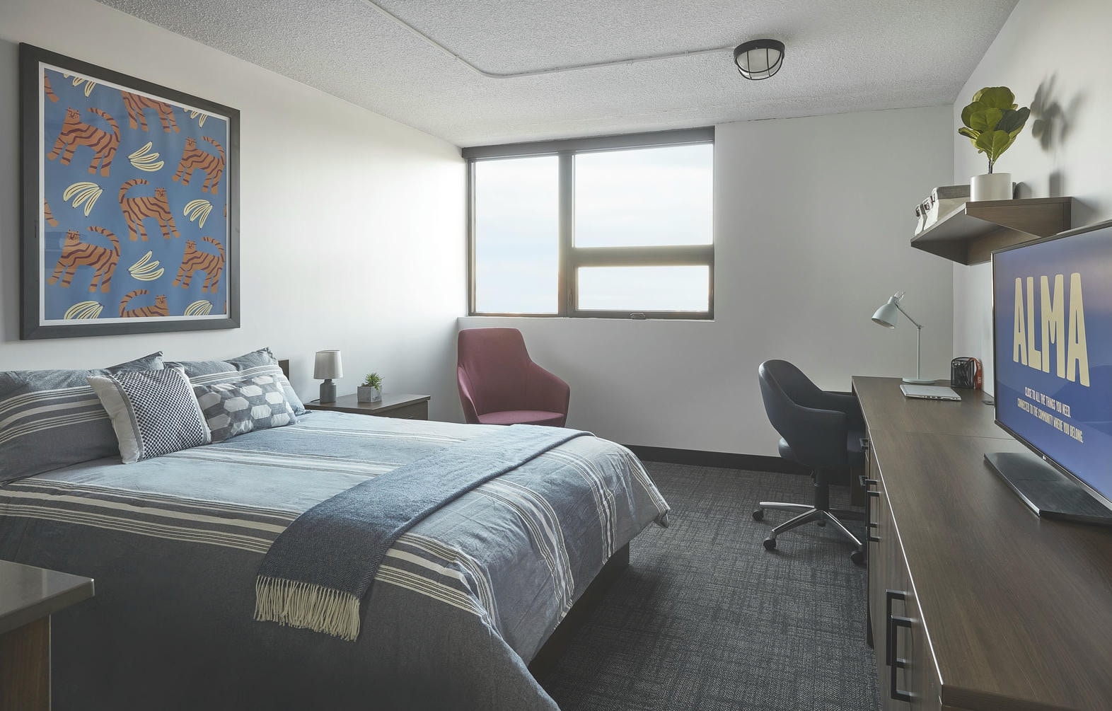 Living Near the University of Guelph: Why Students Choose ALMA Guelph